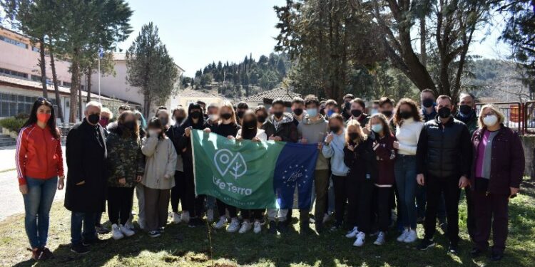 δεντροφύτευση
