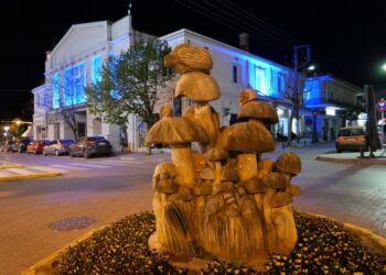 Γρεβενα μανιτάρια