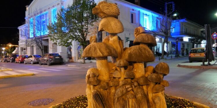 Γρεβενα μανιτάρια