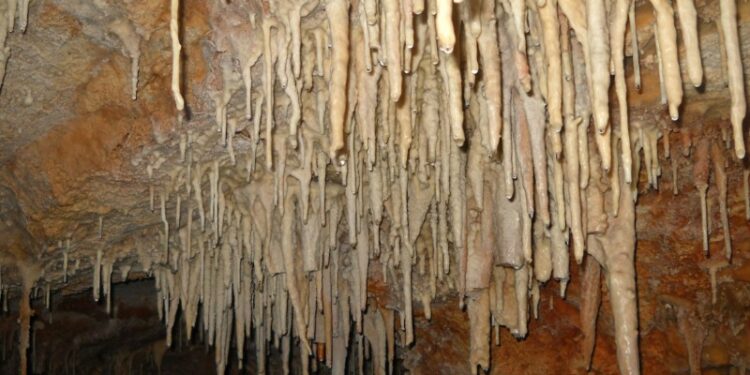 ΣΠΉΛΑΙΟ ΕΡΑΤΥΡΑ