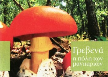 Επί ποδός τα Γρεβενά για την 17η Πανελλήνια Γιορτή Μανιταριού – 17 με 20 Αυγούστου στο Πάρκο των Μανιταριών (Βίντεο+Φωτογραφίες)