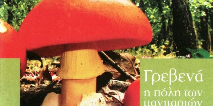 Επί ποδός τα Γρεβενά για την 17η Πανελλήνια Γιορτή Μανιταριού – 17 με 20 Αυγούστου στο Πάρκο των Μανιταριών (Βίντεο+Φωτογραφίες)