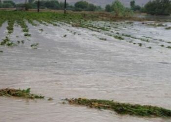 πλημμυρισμένα, χωράφια
