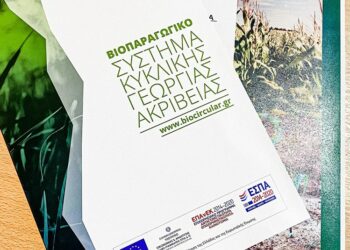 Ημερίδα