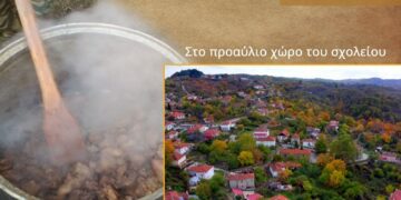 ΓΟΥΡΝΟΧΑΡΑ, ΚΟΡΥΦΗ