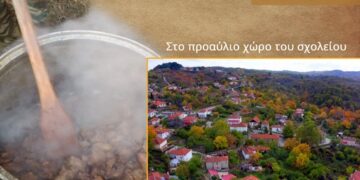 ΤΣΙΓΑΡΙΔΑ, ΚΟΡΥΦΗ