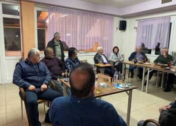 Παρασκευή Βρυζίδου