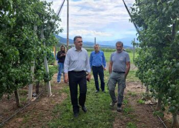 Γ. Κασαπίδης: Τηρούμε στο ακέραιο τη δέσμευσή μας για την υλοποίηση έργων οδικών υποδομών που θα βελτιώσουν την προσβασιμότητα των κτηνοτροφικών και λοιπών επιχειρήσεων