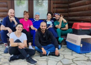 Δήμος Καστοριάς