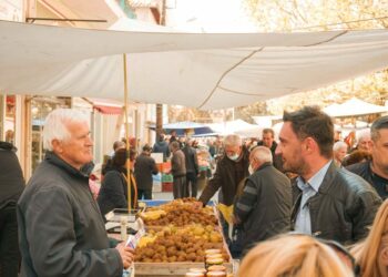 Σωκράτης Βατάλης