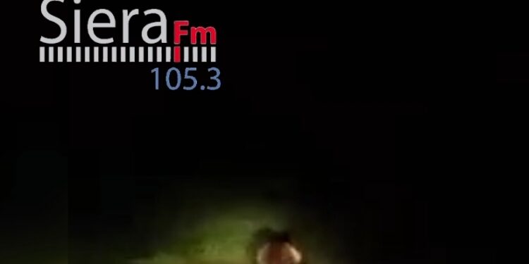 Νυχτερινή βόλτα για αρκούδα στο Βόιο. Βίντεο