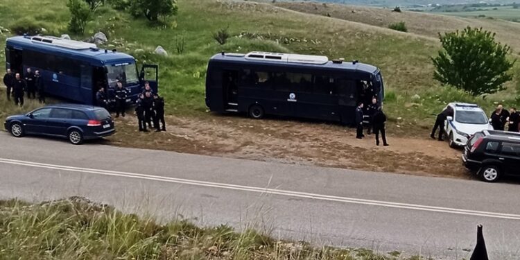 καλαμια, ματ