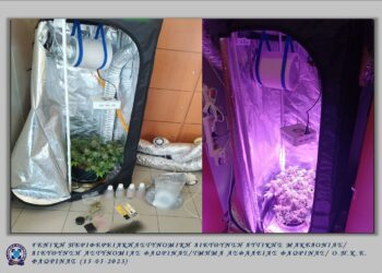 Φλώρινα: Συνελήφθη 22χρονος ημεδαπός  για καλλιέργεια δενδρυλλίου κάνναβης και κατοχή ναρκωτικών
