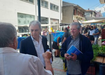 Αμανατίδης: Επίσκεψη στα Σέρβια