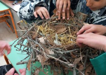 Δημοτικό σχολείο Τσοτυλίου: 1ο βραβείο στον πανελλήνιο μαθητικό διαγωνισμό κατασκευής φωλιάς