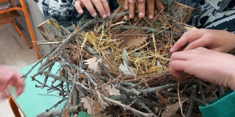 Δημοτικό σχολείο Τσοτυλίου: 1ο βραβείο στον πανελλήνιο μαθητικό διαγωνισμό κατασκευής φωλιάς