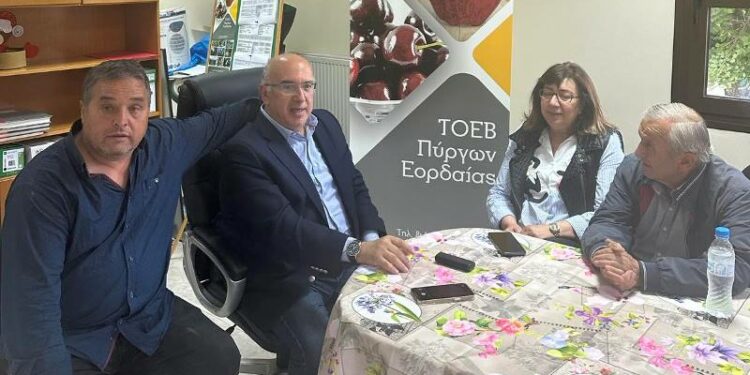 Μιχάλης Παπαδόπουλος