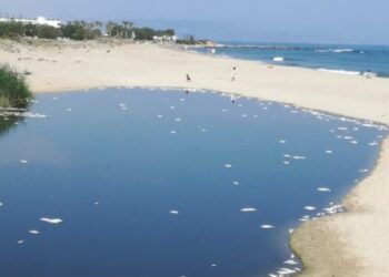 ΝΕΚΡΑ ΨΑΡΙΑ