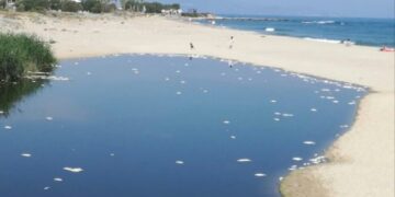 ΝΕΚΡΑ ΨΑΡΙΑ