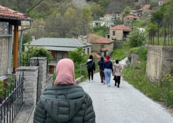Δομή Πενταλόφου
