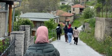 Δομή Πενταλόφου