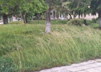 Συλλογος Ανέργων Αγίου Δημητρίου – Ρυακίου – Ακόμα να κοπούν τα χόρτα…
