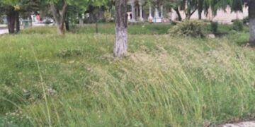 Συλλογος Ανέργων Αγίου Δημητρίου – Ρυακίου – Ακόμα να κοπούν τα χόρτα…