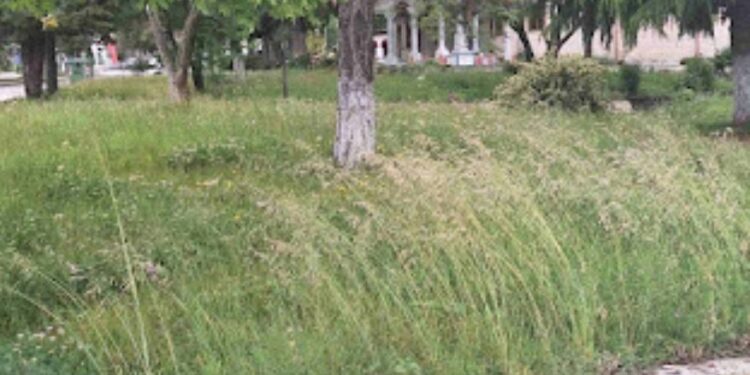 Συλλογος Ανέργων Αγίου Δημητρίου – Ρυακίου – Ακόμα να κοπούν τα χόρτα…