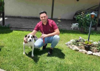 Άλλη μια υιοθεσία αδέσποτου από τη Δομή Σιάτιστας