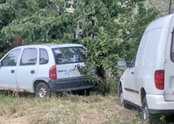 Σιάτιστα: Αρκούδες μέσα σε σπίτι, έτρωγαν κεράσια.  Βίντεο