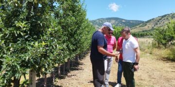 Στις πληγείσες από το χαλάζι αγροτικές περιοχές ο Δήμαρχος Καστοριάς