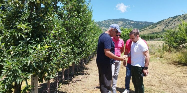 Στις πληγείσες από το χαλάζι αγροτικές περιοχές ο Δήμαρχος Καστοριάς
