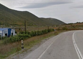 Αγριογούρουνα στον επαρχιακό δρόμο Σιάτιστας -Κοζάνης