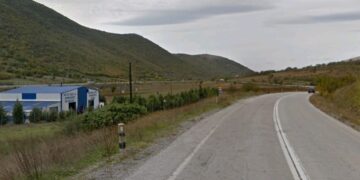 Αγριογούρουνα στον επαρχιακό δρόμο Σιάτιστας -Κοζάνης