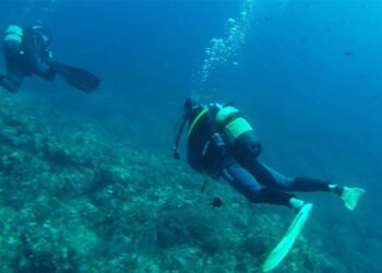 ΔΥΤΕΣ, ΘΑΛΑΣΣΑ