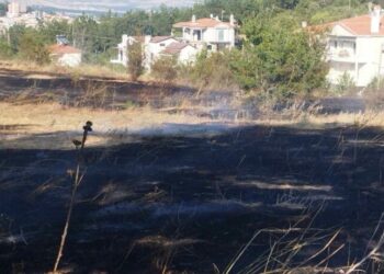 Κοζάνη: Υπό έλεγχο η φωτιά στις παρυφές της πόλης (video