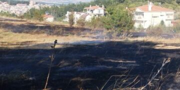 Κοζάνη: Υπό έλεγχο η φωτιά στις παρυφές της πόλης (video