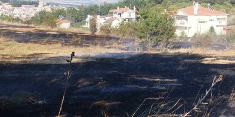Κοζάνη: Υπό έλεγχο η φωτιά στις παρυφές της πόλης (video