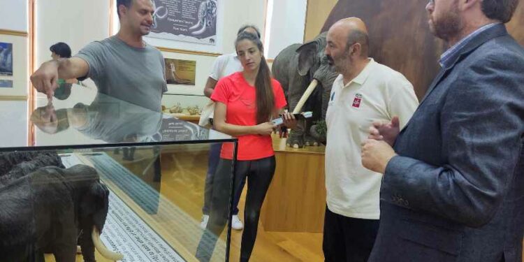 Το Πρότυπο Δάσος στη Δυτική Μακεδονία