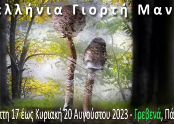 Επί ποδός τα Γρεβενά για την 17η Πανελλήνια Γιορτή Μανιταριού – 17 με 20 Αυγούστου στο Πάρκο των Μανιταριών (Βίντεο+Φωτογραφίες)