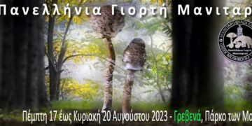 Επί ποδός τα Γρεβενά για την 17η Πανελλήνια Γιορτή Μανιταριού – 17 με 20 Αυγούστου στο Πάρκο των Μανιταριών (Βίντεο+Φωτογραφίες)