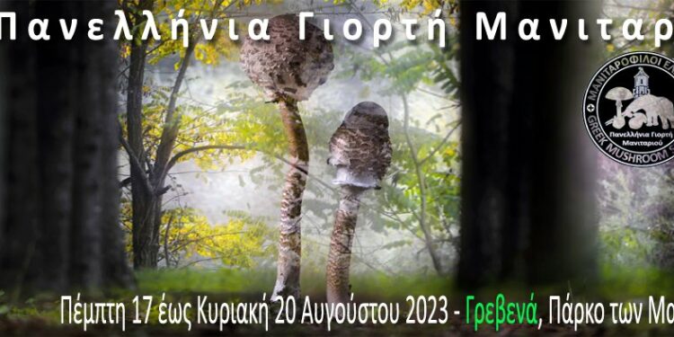 Επί ποδός τα Γρεβενά για την 17η Πανελλήνια Γιορτή Μανιταριού – 17 με 20 Αυγούστου στο Πάρκο των Μανιταριών (Βίντεο+Φωτογραφίες)