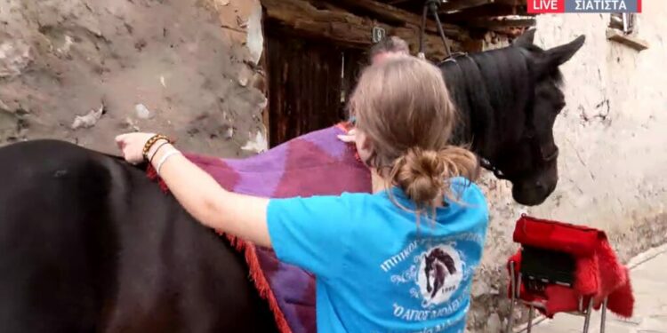 Γεμίζει με κόσμο η Σιάτιστα για τον Δεκαπενταύγουστο. Βίντεο