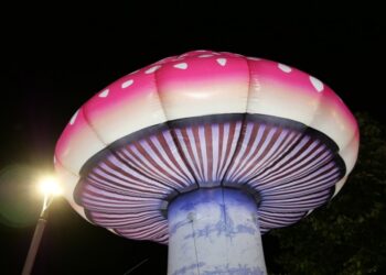 Κοσμοσυρροή στα Γρεβενά για την 17η Πανελλήνια Γιορτή Μανιταριού (Βίντεο+Φωτογραφίες)