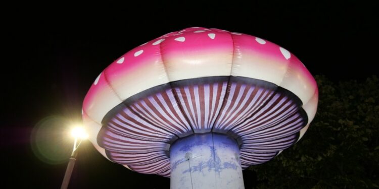 Κοσμοσυρροή στα Γρεβενά για την 17η Πανελλήνια Γιορτή Μανιταριού (Βίντεο+Φωτογραφίες)