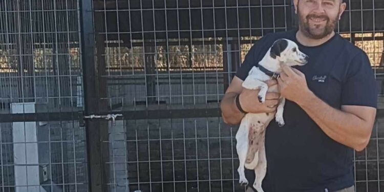 Συνεχές το ενδιαφέρον του Δήμου Καστοριάς για τα αδέσποτα