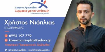 Χρήστος Νιόπλιας: Το βιογραφικό του υποψήφιου με το Γιώργο Αμανατίδη