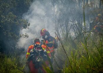 Πυρκαγιά, Πυροσβεστική, φωτια