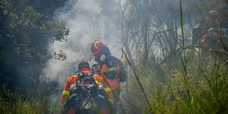 Πυρκαγιά, Πυροσβεστική, φωτια