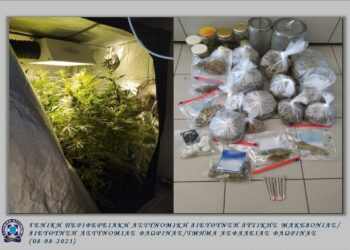 Φλώρινα: Είχε θερμοκήπιο με κανναβουριές